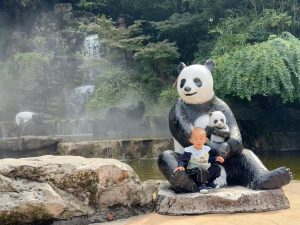 幻灯片-Hayashi Ei blog